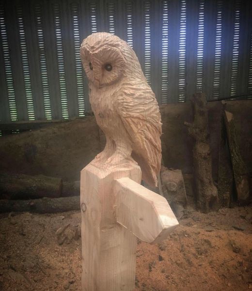 Wooden Hand Carved Owl Signpost