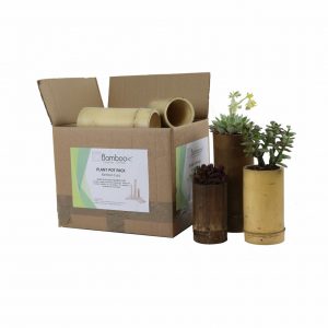 Set Of Bamboo Plant Pots